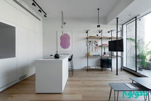 Tel-Aviv-apartment-with-Japanese-design-influences-pipe-shelving-and-TV
