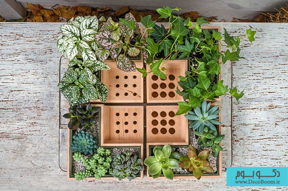 نمایش خلاقانه گیاهان در فضاهای اداری و خانگی