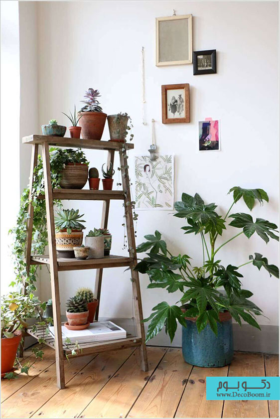 15 راه برای نمایش گیاهان در دکوراسیون داخلی خانه