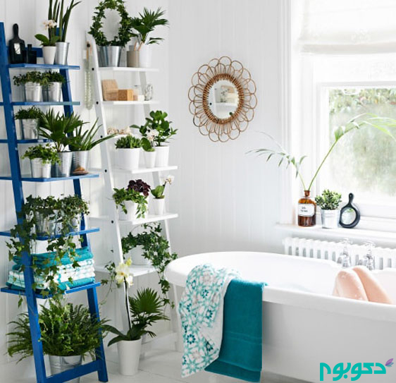 growing-indoor-plants-in-bathroom