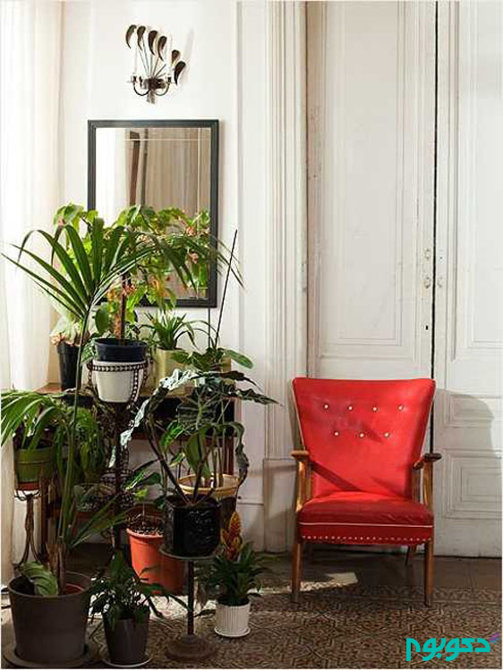 design-ideas-home-decor-plants-room