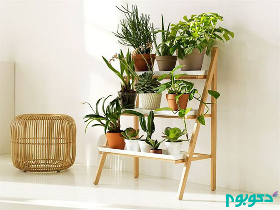 small-indoor-garden-ideas