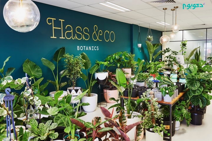 طراحی داخلی فروشگاه گل و گیاه و گیاهان دارویی