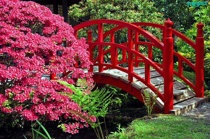 طراحی پل قوسی در حیاط و باغ