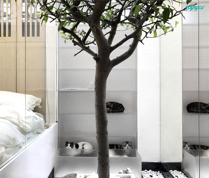طراحی داخلی آپارتمان "خانه ی گربه" تنها در 31 متر