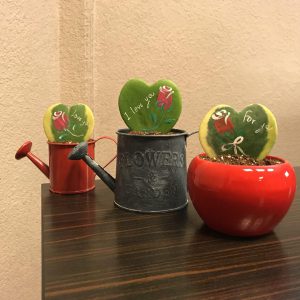 کاکتوس طبیعی عشق