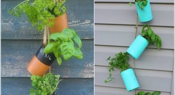 ۱۰ ایده ی جالب برای داشتن یک باغ معلق در خانه