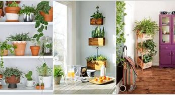 ایده هایی برای سبز کردن فضای داخل آپارتمان با وسایل دور ریختنی