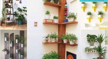 ۱۵ راه برای نمایش گیاهان در دکوراسیون داخلی خانه