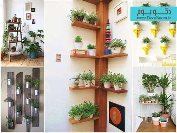 ۱۵ راه برای نمایش گیاهان در دکوراسیون داخلی خانه
