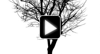 ویدیو ساخت درخت دکوری کم هزینه با استفاده از بوم نقاشی