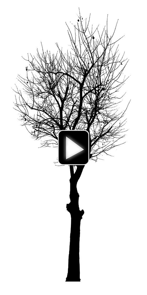 ویدیو ساخت درخت دکوری کم هزینه با استفاده از بوم نقاشی