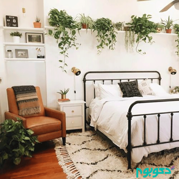 ۵ گیاه آپارتمانی مناسب در دکوراسیون اتاق خواب