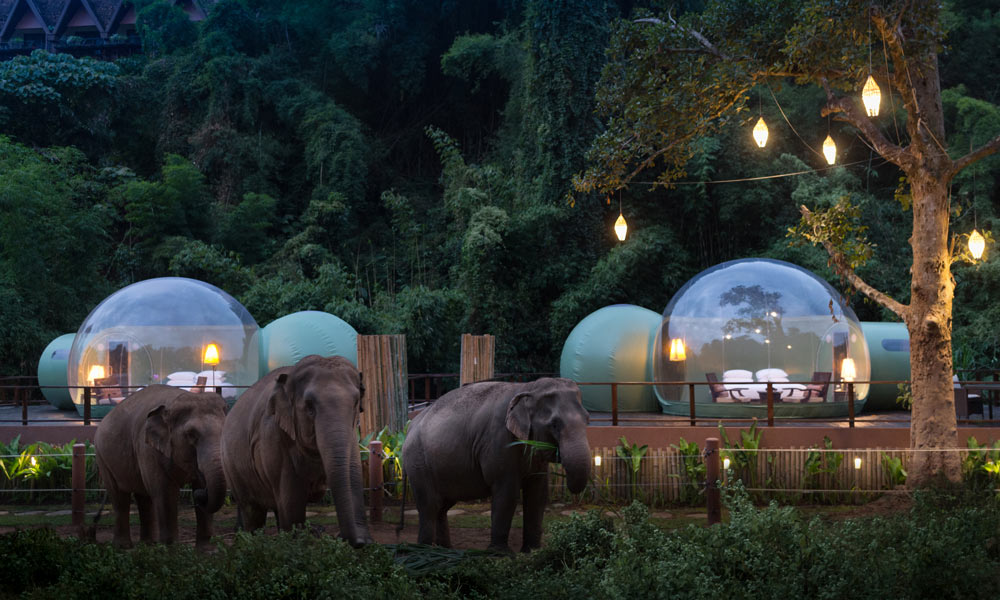 حباب های جنگلی، تفرجگاهی لوکس در تایلند