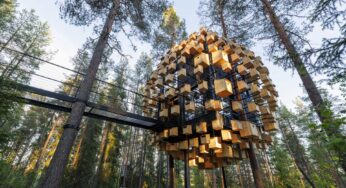 طراحی هتل جنگلی با ۳۵۰ خانه پرنده