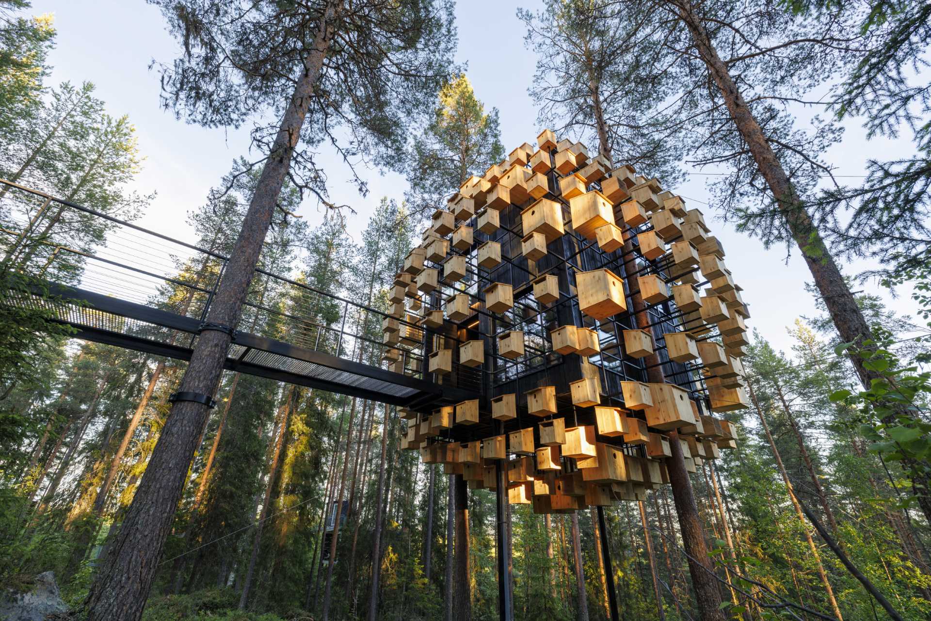 طراحی هتل جنگلی با ۳۵۰ خانه پرنده