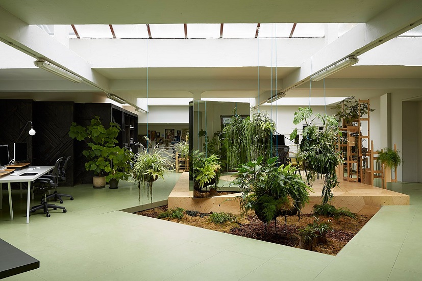 گیاهان از عناصر مهم در طراحی داخلی اداری