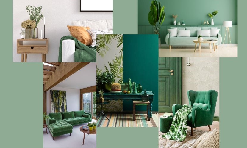 روانشناسی رنگ سبز در طراحی داخلی نمادگرایی رنگ سبز