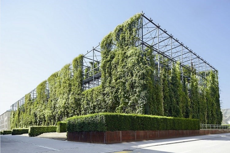طراحی نما ساختمان اداری طراحی نمای سبز زنده
