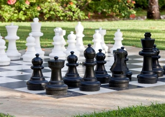 محوطه سازی شطرنج